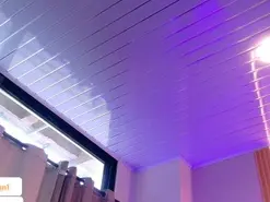 Amateur Live Sex Cam of Megan-brown1