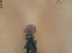 Amateur Live Sex Cam of bulma_hott_