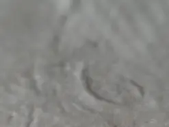 Amateur Watch Live Sex Cams of squirtcharlotte