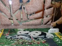 Amateur Sex Chat of sandyandersoncf