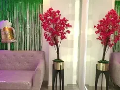 Amateur Nude Webcam of Katrina_spencer