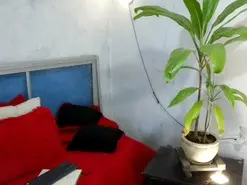 Amateur Adult Webcams of Bellacrespa