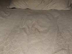 Amateur Free Live Porn of Ilona4u