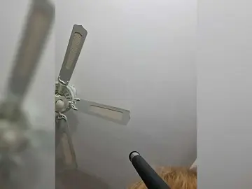 Bongacams Live Sex of YourAngelX