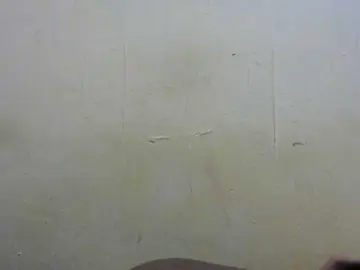 Bongacams Sex Cam of Sweetbarbie8