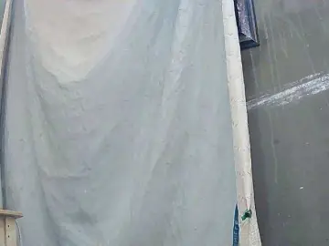 Bongacams Best live sex cam show of Titounea