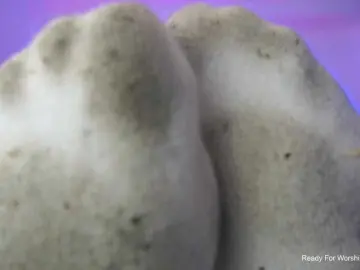 Bongacams Private Sex Chat of MissKorrah