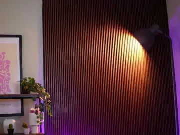 Bongacams Best live sex cam show of LenaLaurent