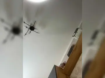 Bongacams Sex Chat of lavandaista