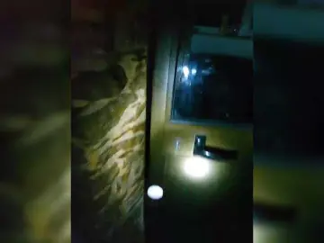 Bongacams Sex Chat of YourWitcher