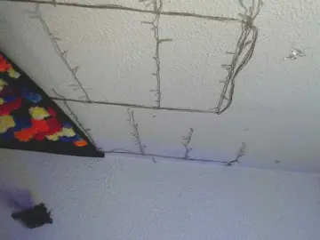 Bongacams Sex Cam of albasex10