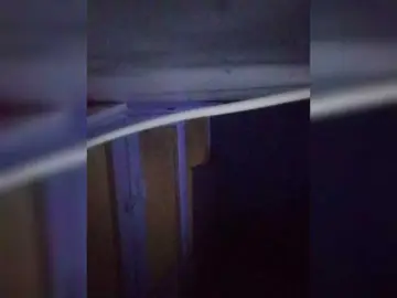 Bongacams Watch Live Sex Cams of Evangliya