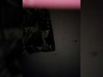 Bongacams Free Live Porn of candicelovee