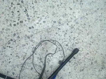 Bongacams Nude Webcam of moxa-hot