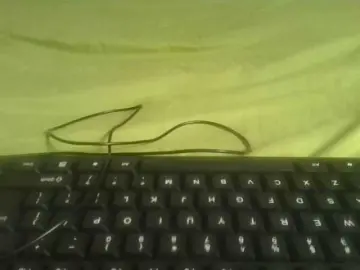 Bongacams Nude Webcam of Sexykitten1