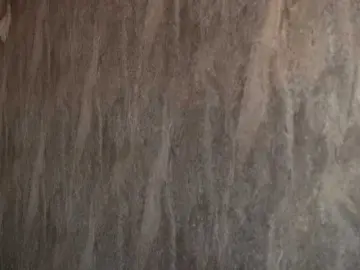 Bongacams Sex Chat of Seemysoul