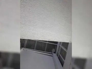 Bongacams Best Webcam of ElizHarper