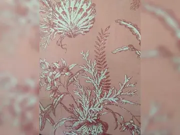 Bongacams Nude Webcam of XXhornywetprincess99XX