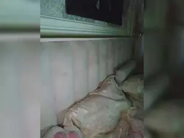 Bongacams Adult Video Chat of MissPinkX