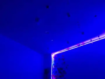 Bongacams Free Porn Cam of Sammyviolet