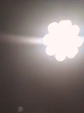 Cam4 Live Porn of mica224