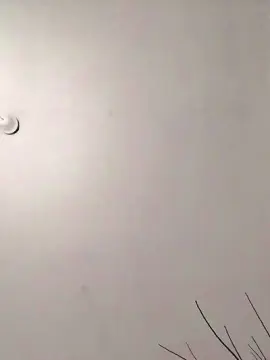 Cam4 Sex Chat of mica224