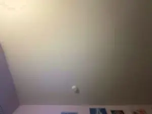 Cam4 Sex Chat of freespiritchic