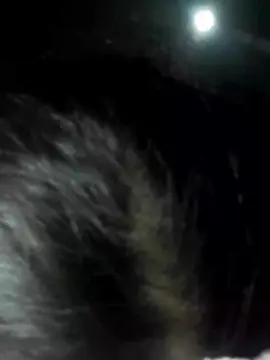 Cam4 Sex Cam of Miluleal