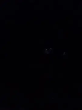 Cam4 Live Sex Cam of Lilith826