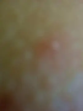 Cam4 Live Sex Cam of veronica239