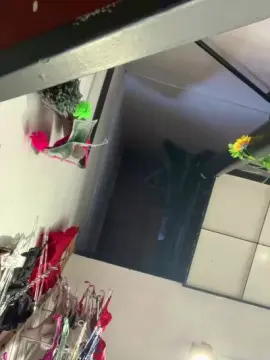 Cam4 Best live sex cam show of Dafnehoto