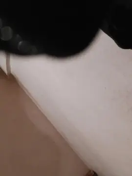 Cam4 Sex Cam of floridasara