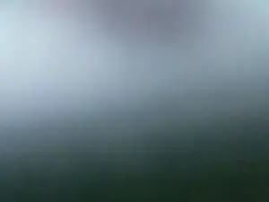 Cam4 Free Porn Cam of Enchantedvee