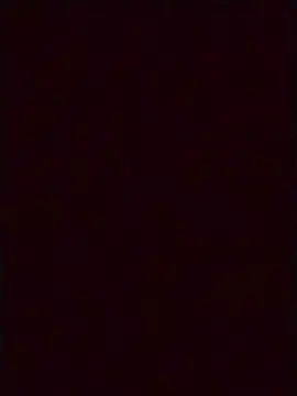 Cam4 Adult Webcams of Camilitaxxxxxxx