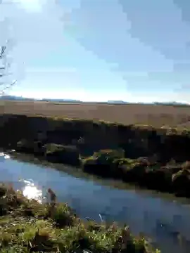 Cam4 Adult Webcam of luxxuriax