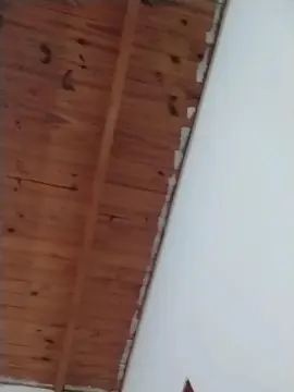 Cam4 Watch Live Sex Cams of almondwithlove