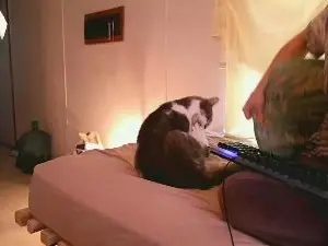 Cam4 Adult Webcam of XxpixeyxX