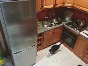 Cam4 Sex Cam of Fuegoyplacershh