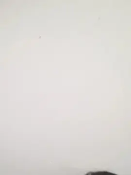 Cam4 Live Sex of Pretinha558