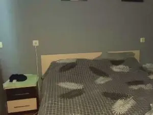 Cam4 Live Porn of SummerBordin