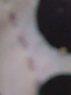 Cam4 Live Sex Cam of Ashly_dirty1