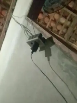 Cam4 Best Webcam of capetinha1821