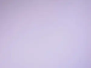 Cam4 Free Porn Cam of ScottSchumpert