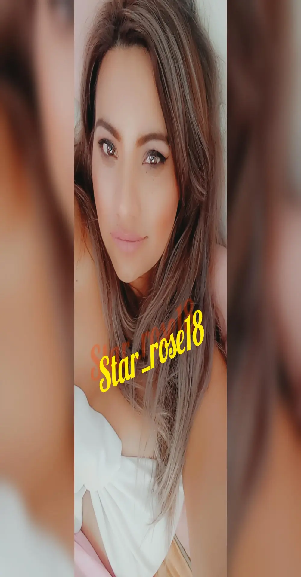 Star_rose18