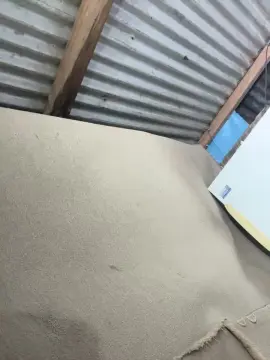 Cam4 Adult Webcam of Cami_04