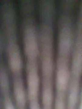 Cam4 Watch Live Sex Cams of agusttinak3