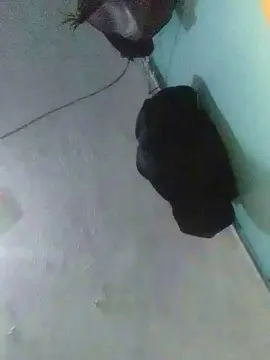 Cam4 Free Porn Cam of BellaSpicy