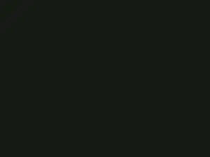 Cam4 Adult Webcam of DblackR