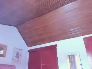 Cam4 Free Live Porn of Miss_Celeste_