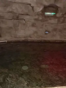 Cam4 Best live sex cam show of BabySaraBettoni